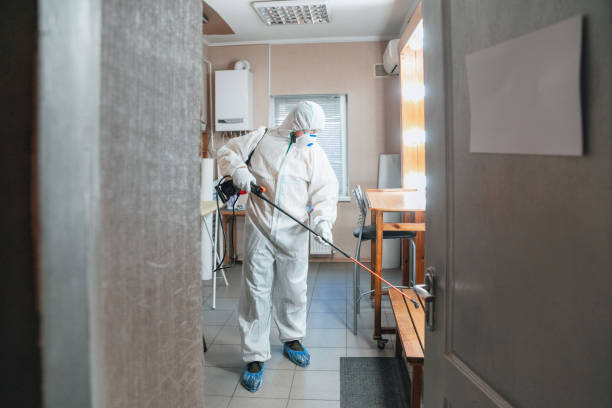 Best Crawl Space Mold Remediation  in Mililani Town, HI
