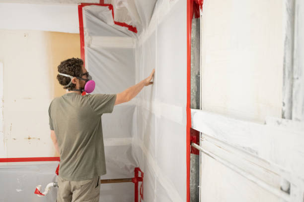 Best Post-Construction Mold Inspection  in Mililani Town, HI