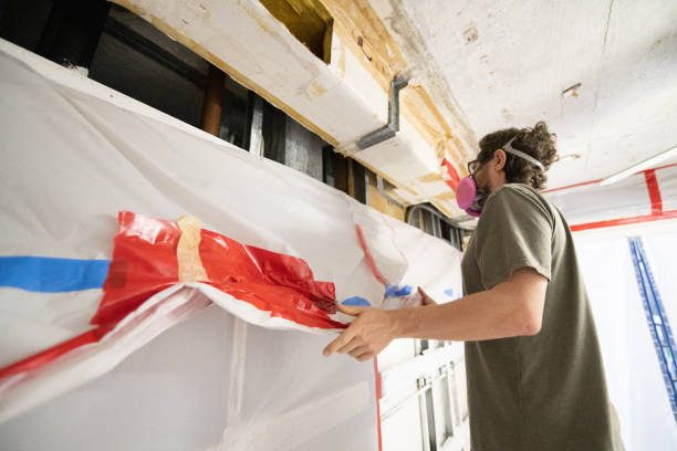 Best Mold Odor Removal Services  in Mililani Town, HI