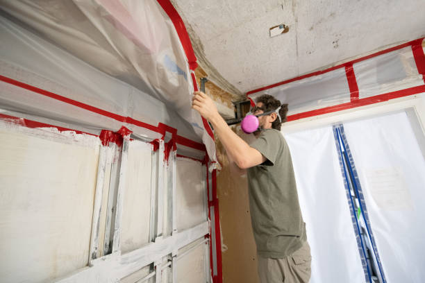 Asbestos and Lead Testing During Mold Inspection in Mililani Town, HI