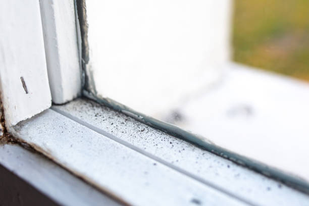 Best HVAC Mold Inspection and Cleaning  in Mililani Town, HI